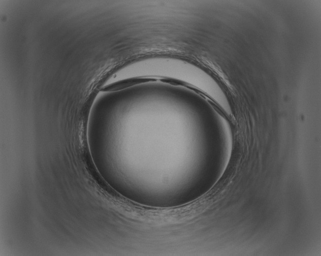 X0000077340023200611031807