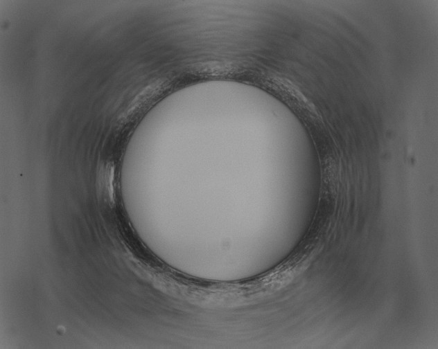 X0000077340024200611031807
