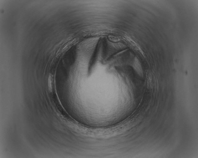 X0000077340026200611031807