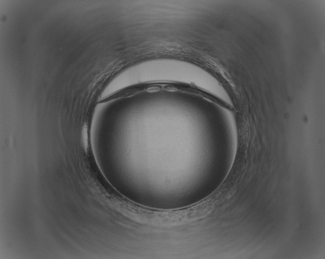 X0000077340027200611031807