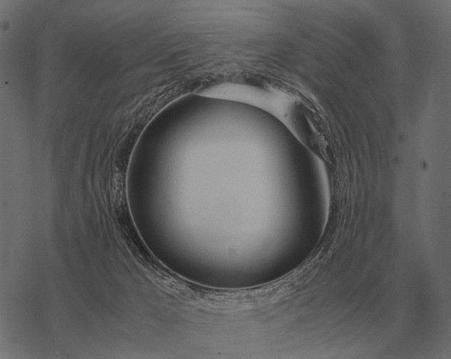 X0000077340029200611031807