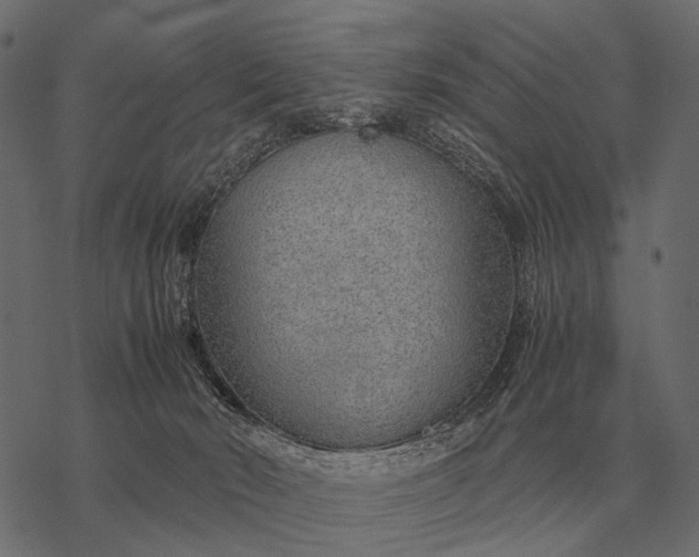 X0000077340030200611031807