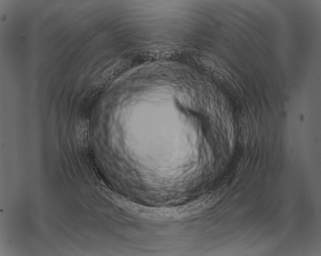 X0000077340034200611031806