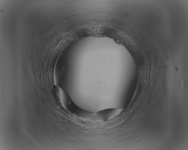 X0000077340035200611031806