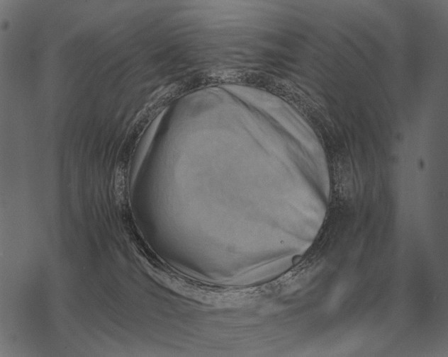 X0000077340036200611031806