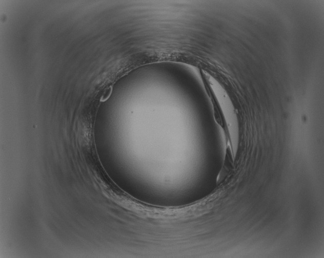 X0000077340039200611031806