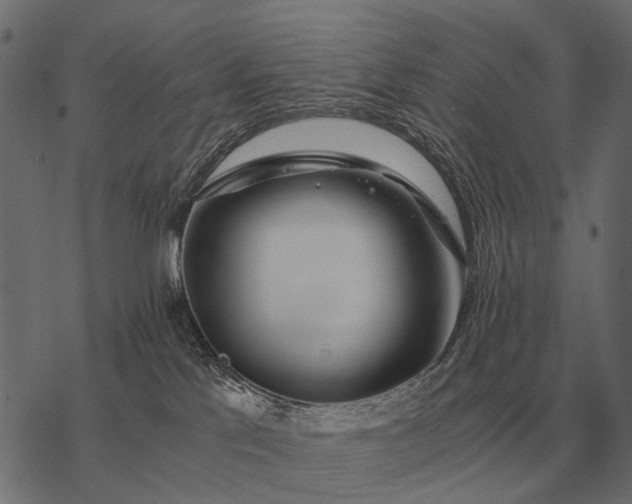 X0000077340041200611031806