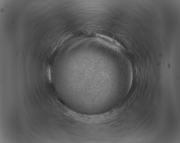 X0000077340042200611031806