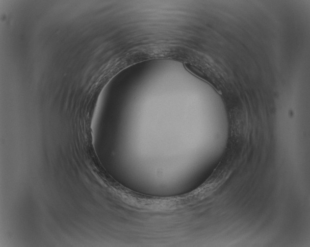X0000077340044200611031806