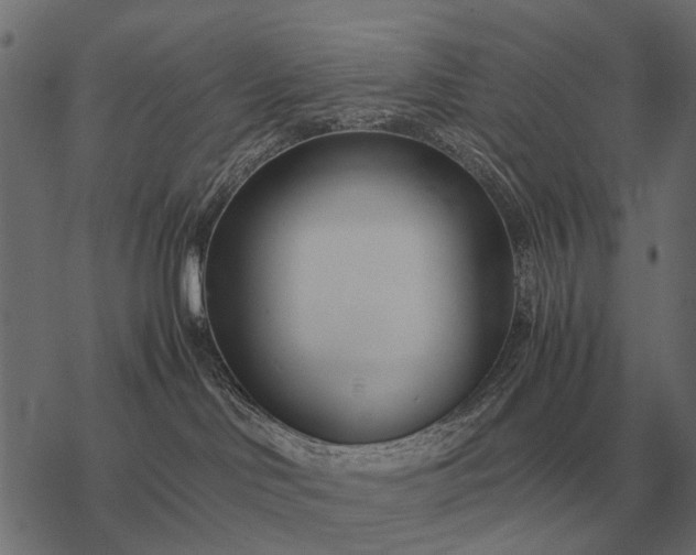 X0000077340046200611031806