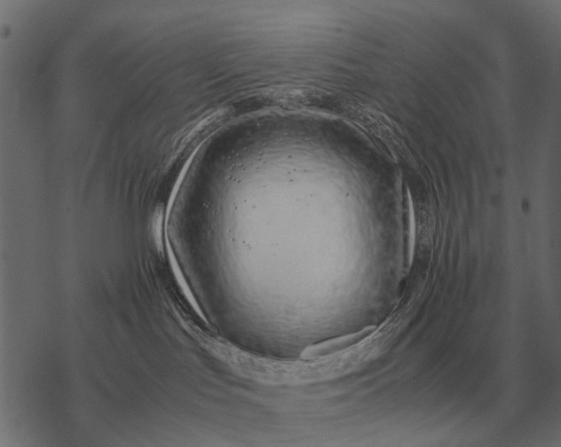 X0000077340047200611031806