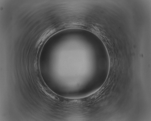 X0000077340050200611031805