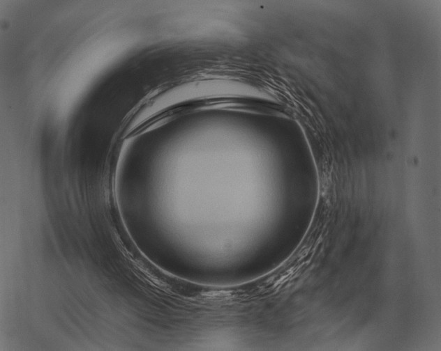 X0000077340052200611031806