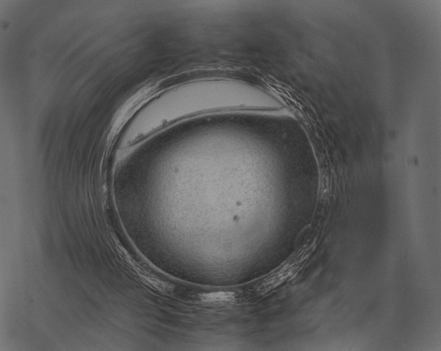 X0000077340053200611031806