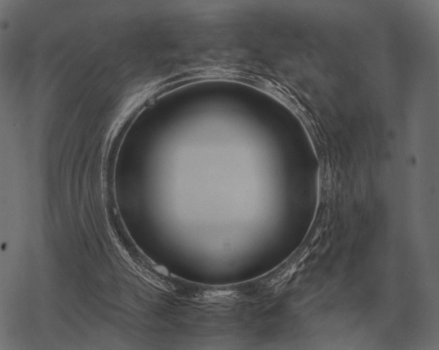 X0000077340055200611031806