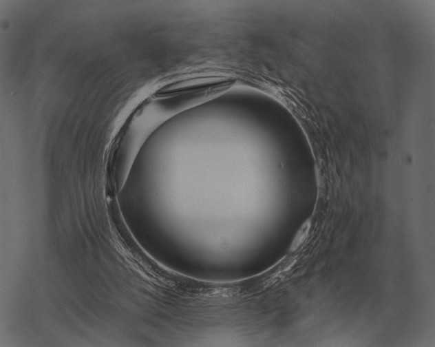 X0000077340056200611031806