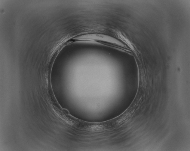 X0000077340059200611031806
