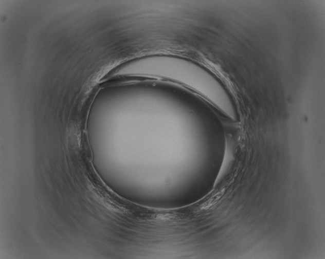 X0000077340060200611031806