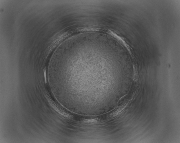 X0000077340061200611031806