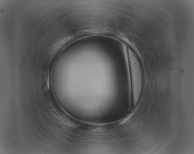 X0000077340062200611031806