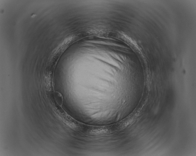 X0000077340065200611031806