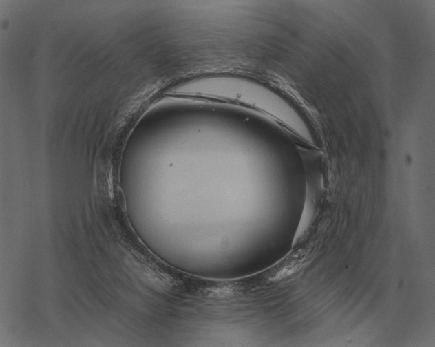 X0000077340068200611031806