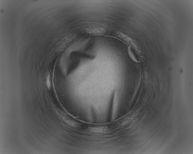 X0000077340069200611031806