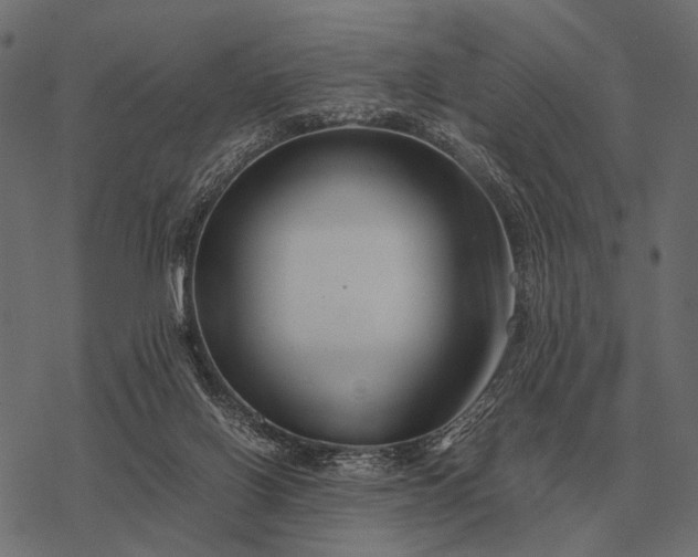 X0000077340070200611031806