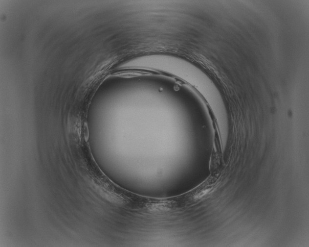 X0000077340072200611031806