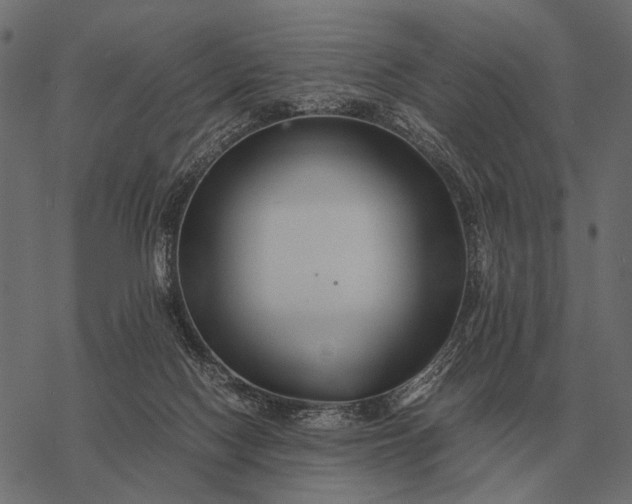 X0000077340074200611031806