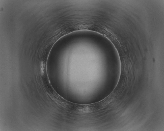 X0000077340075200611031806