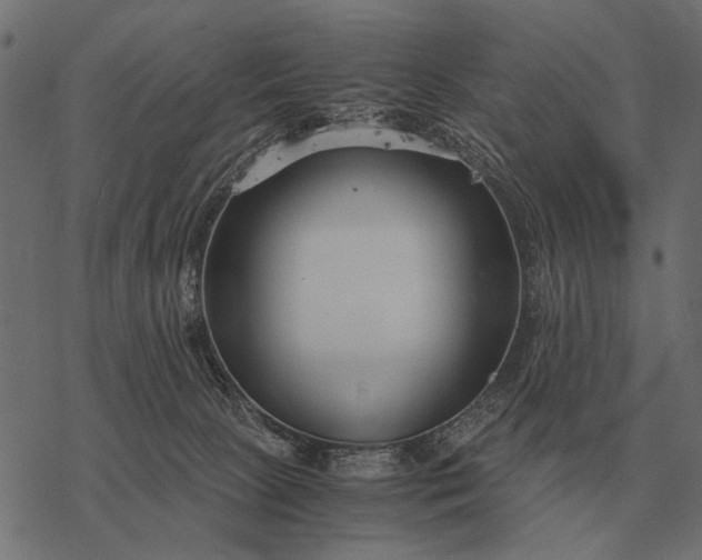 X0000077340081200611031806