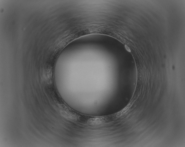 X0000077340082200611031806