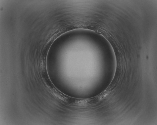 X0000077340084200611031806