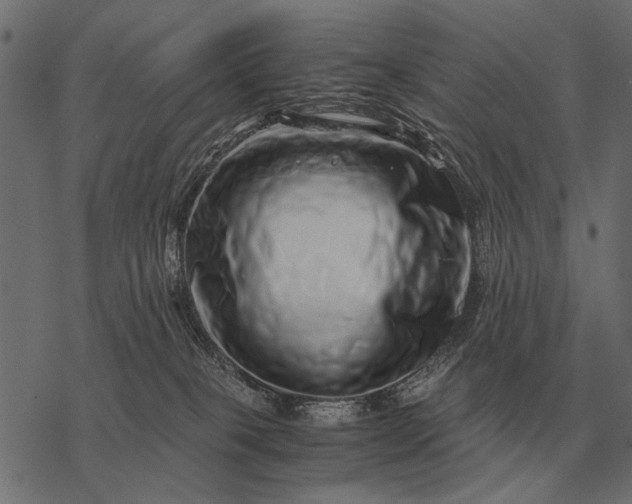 X0000077340085200611031806