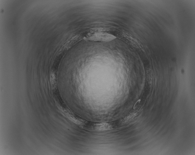 X0000077340087200611031806