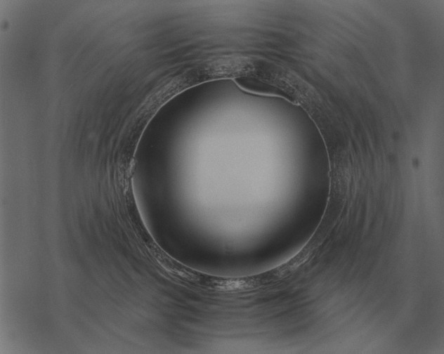 X0000077340091200611031806