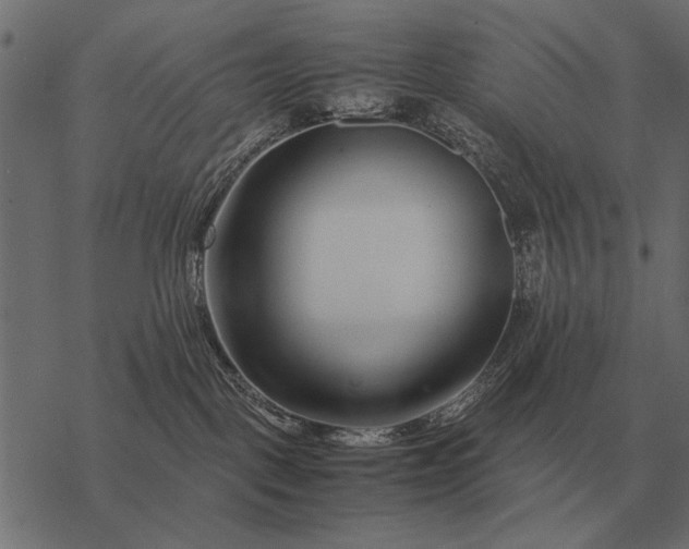 X0000077340093200611031806