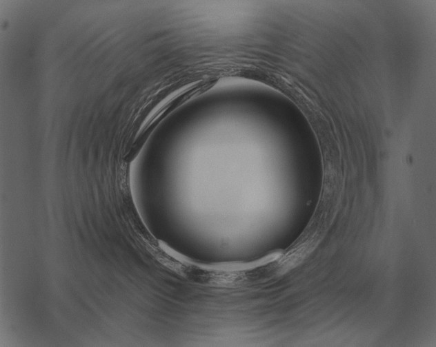 X0000077340096200611031806