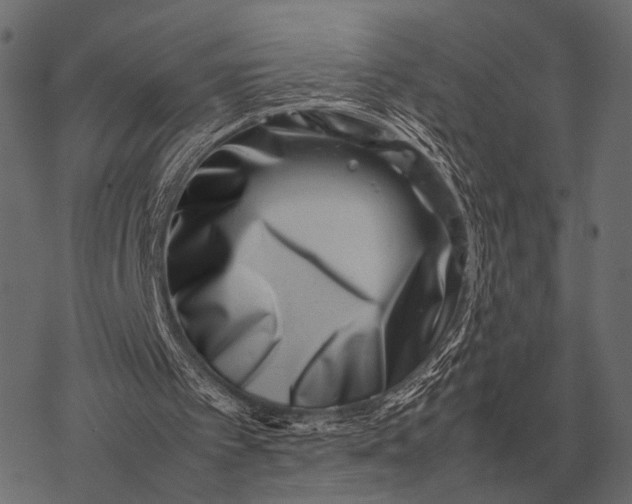 X0000077340097200611031805