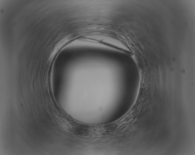 X0000077340099200611031805