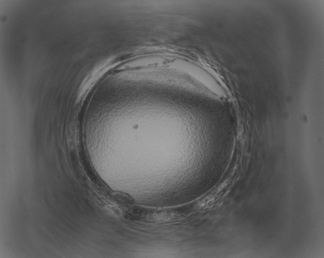 X0000077340103200611031805
