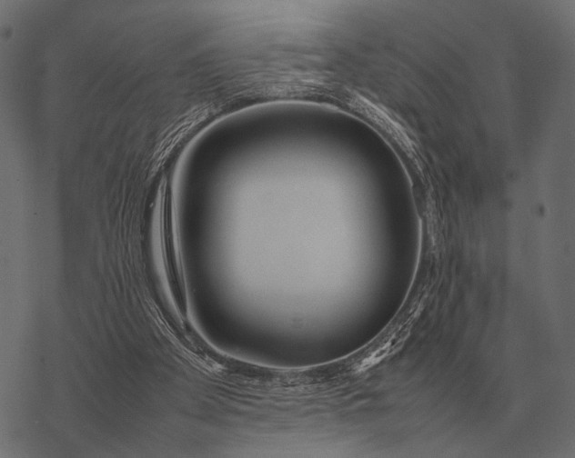 X0000077340105200611031805