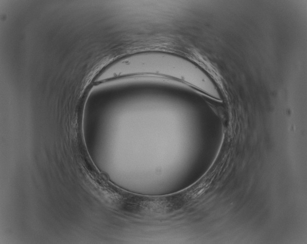 X0000077340107200611031805