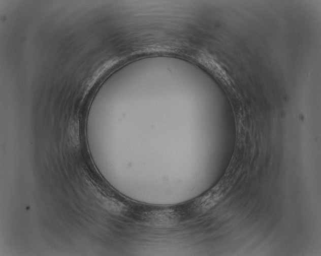 X0000077340108200611031805