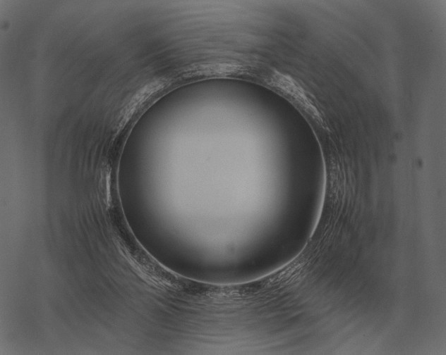 X0000077340110200611031805