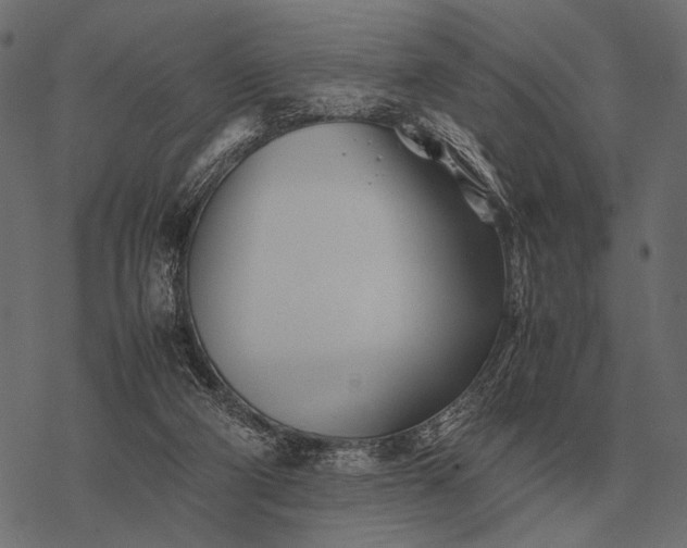 X0000077340114200611031805