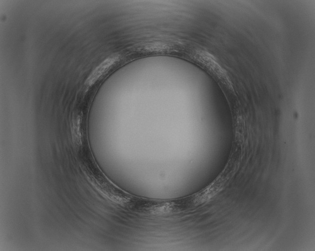X0000077340116200611031805