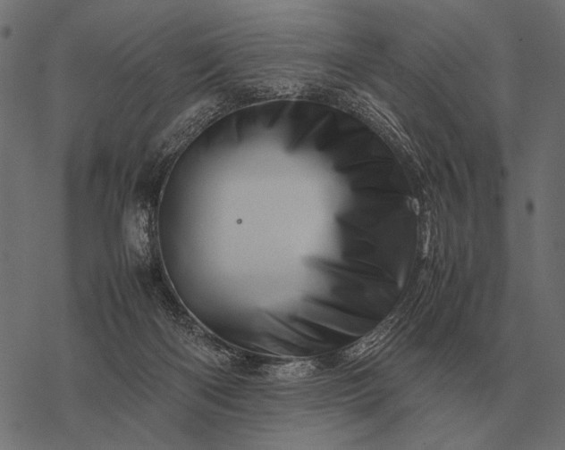 X0000077340122200611031805