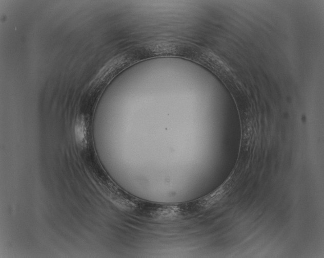 X0000077340124200611031805